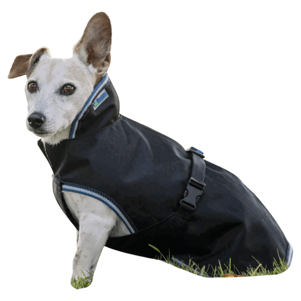 Bucas Hundemantel Anniversary, 0 g, Hundedecke, Hundejacke