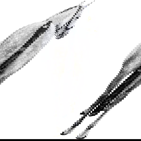 Horseware Schweifschoner HW25, Schweiftüte, mit Klett