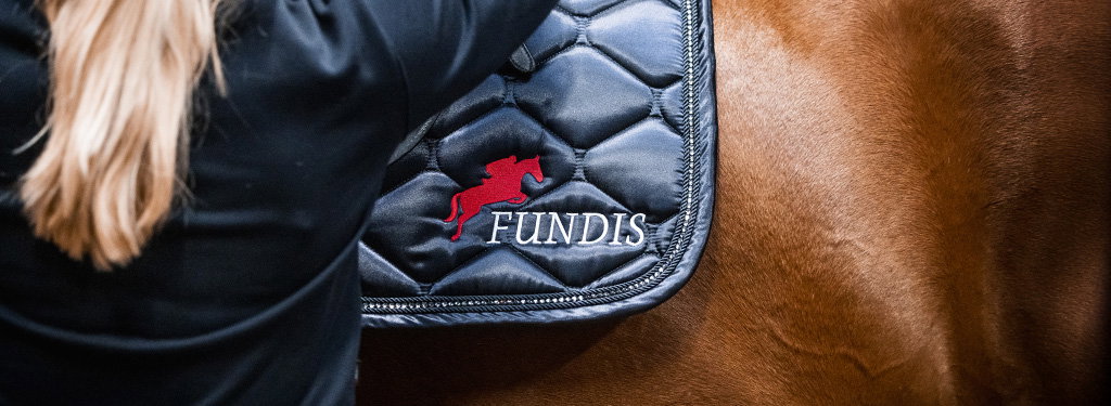 FUNDIS