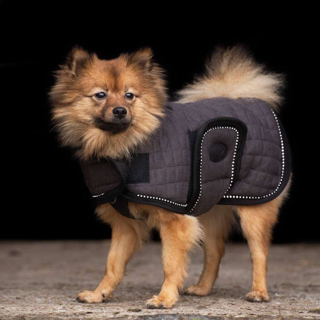 Dog Coat HVPFranka FW22