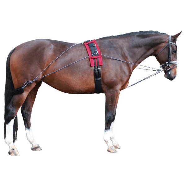 QHP Lunging Reins