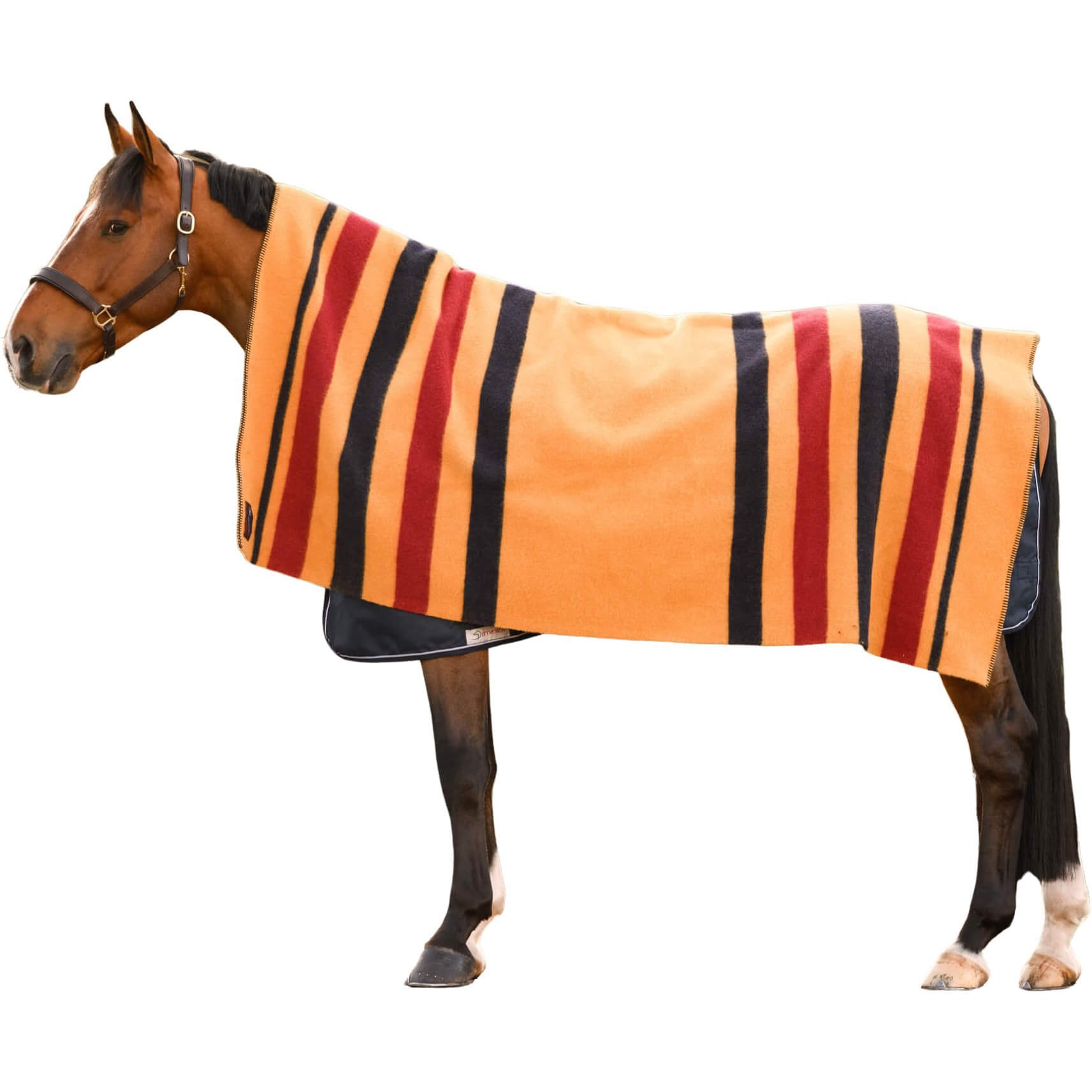 Stripe FUNDIS | Dominick Golden Wool Rug Equestrian