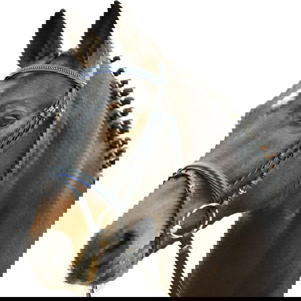 Waldhausen Bridle Star Diamond, English Combined, with Reins