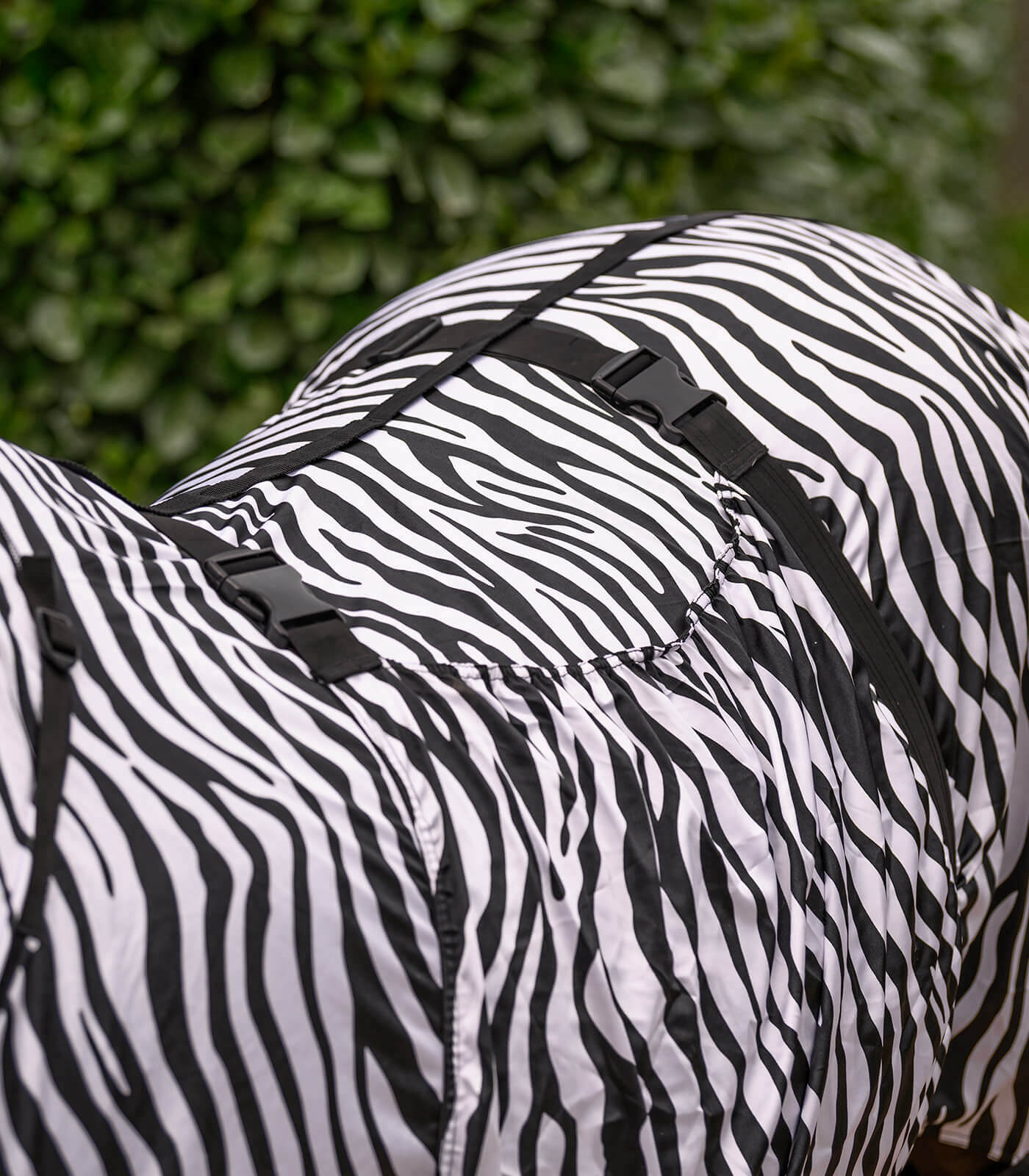 Zebra Basic Waldhausen Ekzemerdecke Zebra Basic | FUNDIS Reitsport