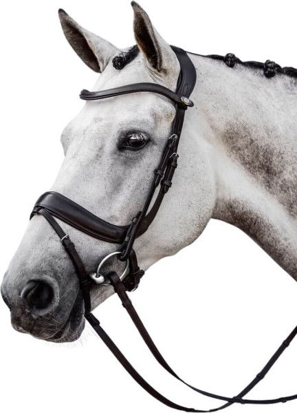 PS of Sweden Bridle Paladin, Swedish Combined, without Reins