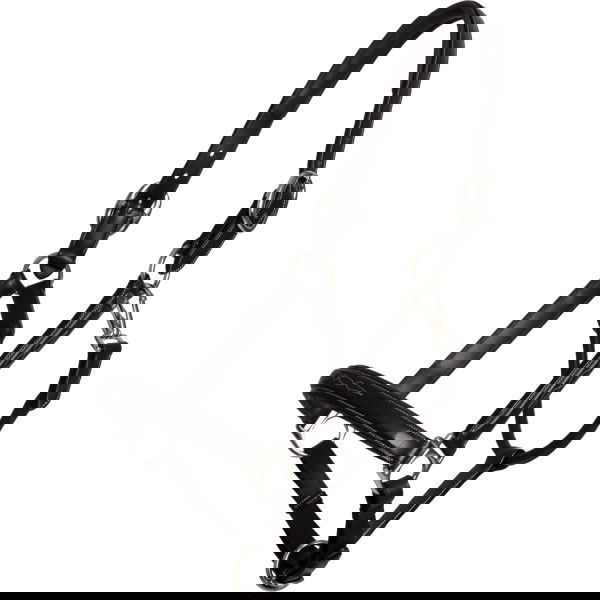 Dyon Halter Fancy WC, Leather Halter