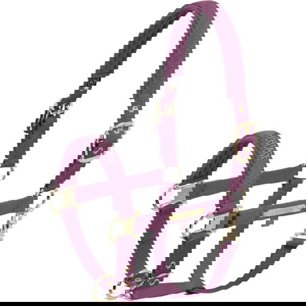 Eskadron Halfter Girth Double Pin Heritage 25/26