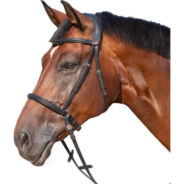 Kieffer Bitless Bridle Ultrasoft Kendra, Sidepull, with Reins