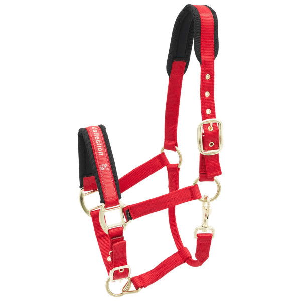 Kieffer Halter Nylon, Foal Halter