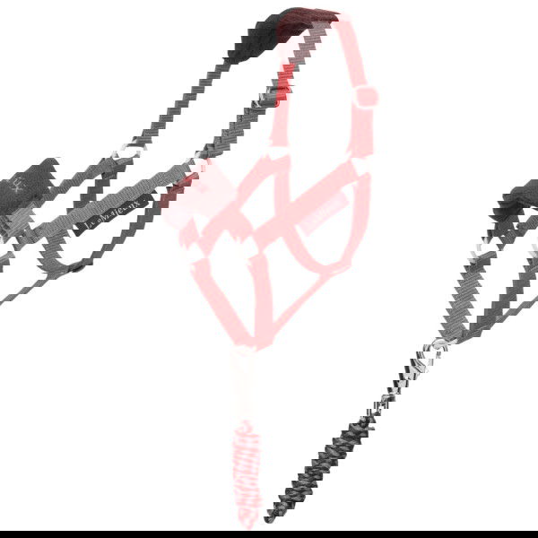 LeMieux Hobby Horse Halter Set Vogue FW25, incl. Rope