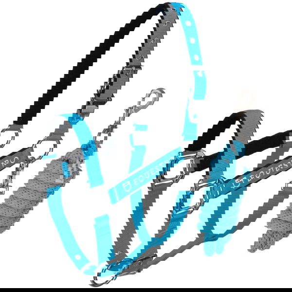 Equestro Halter Set, Nylon Halter, with Lead Rope