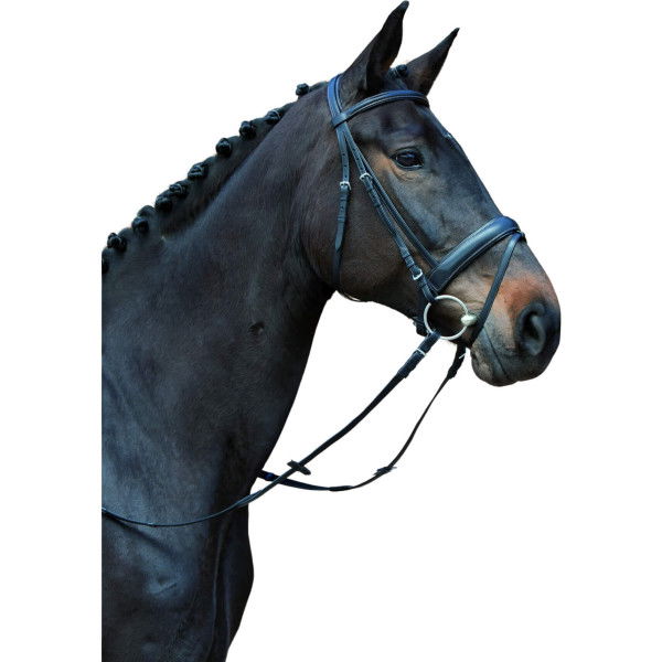 Kieffer Bridle Ergonomic Line III, Swedish Combined, with Reins