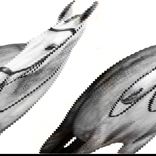 Horseware Trense Micklem 3 Bitless Bridle HW25, gebisslos