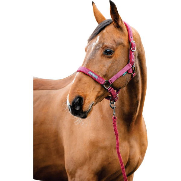 Horseware Halfter-Set Amigo, inkl. Strick