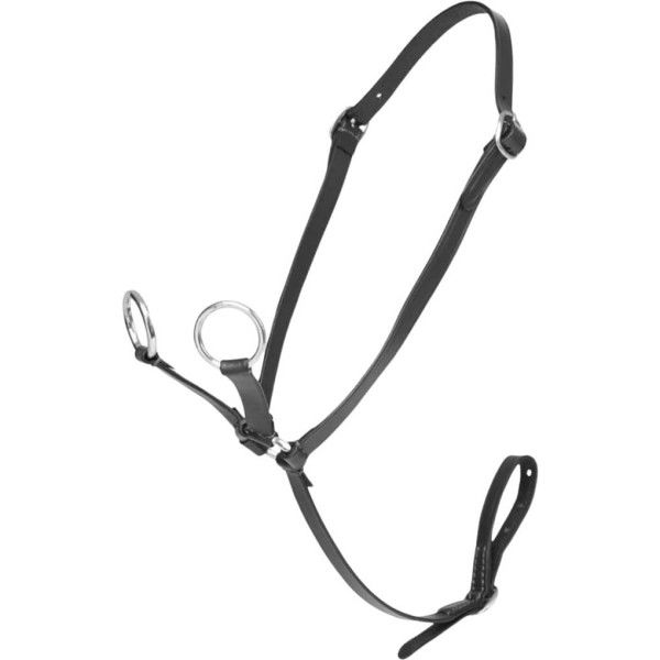 LeMieux Toy Pony Martingale