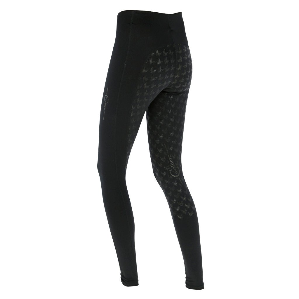 Buy Horze Active Women's Full Grip Winter Riding Tights with Phone