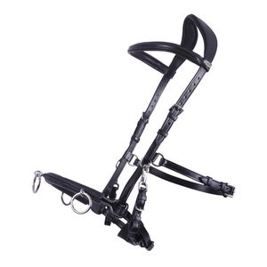 QHP Leder-Kappzaum QHP Leder-Kappzaum