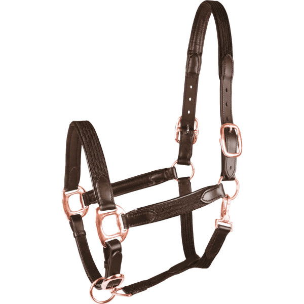 Star Halfter Mix, Leather Halter, Webbing Halter