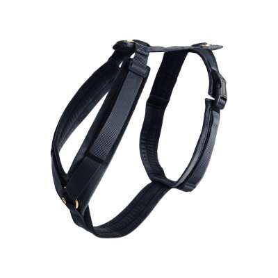 Kentucky Dogwear Hundegeschirr Active Velvet | FUNDIS Reitsport