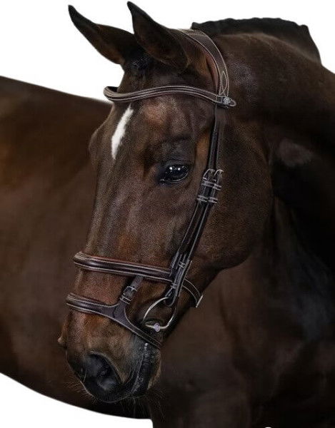 PS of Sweden Bridle Paris, Double Noseband, without Reins