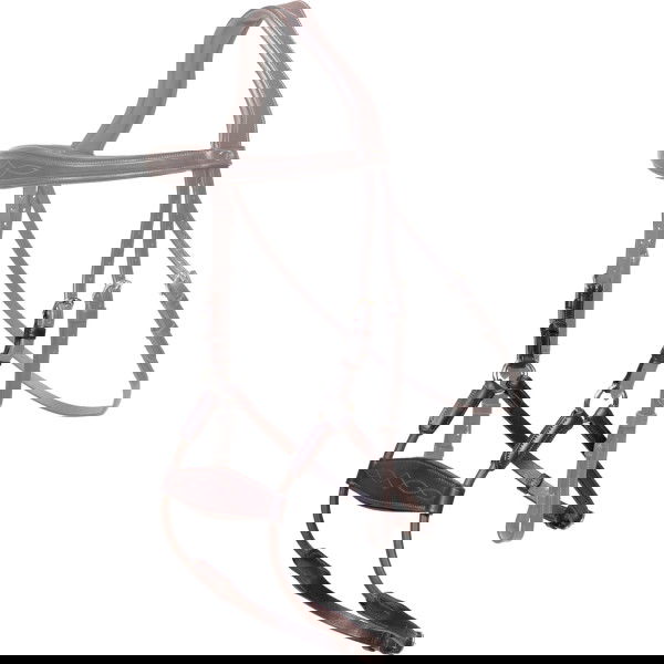 Dyon Noseband Elastic Hybrid, New English-Collection