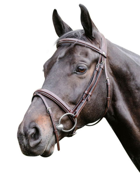 Prestige Italia Bridle E38, English Combined, Cambered, without Reins