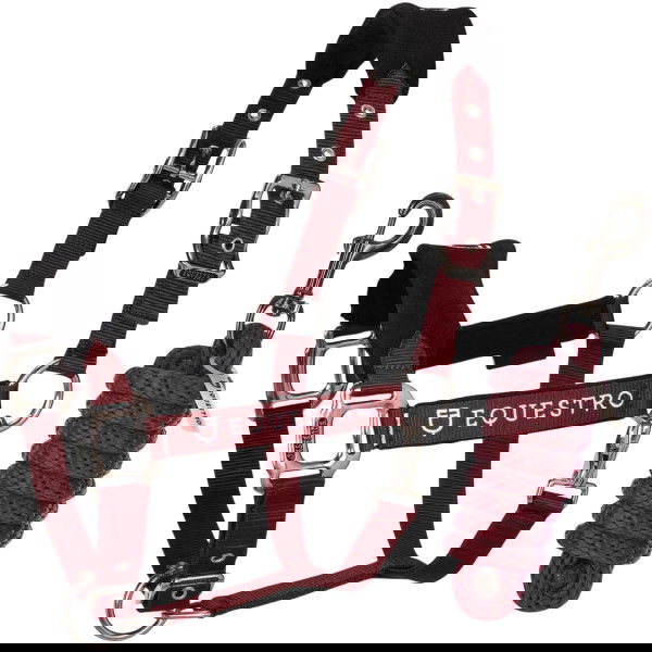 Equestro Halter Set, Nylon Halter, with Fleec, with Lead Rope