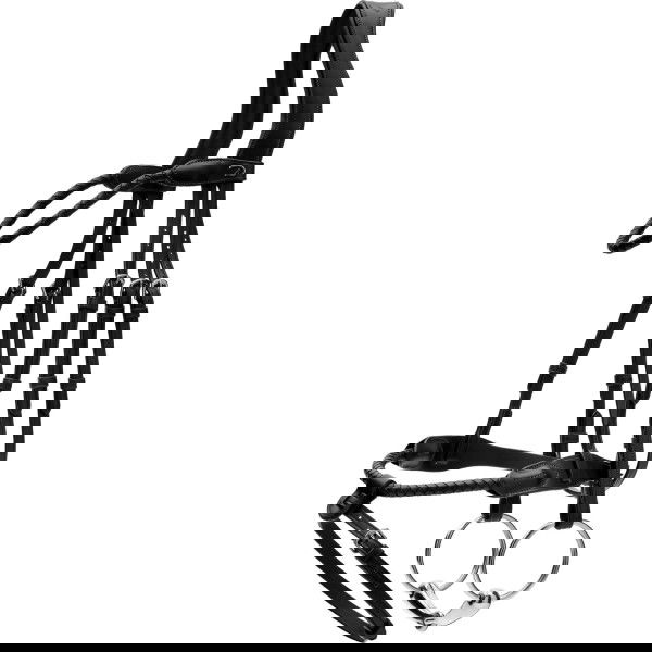 Dyon Trense Braided NEC, englisch kombiniert