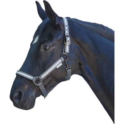 Waldhausen Halter Reflex Stripe, Nylon Halter