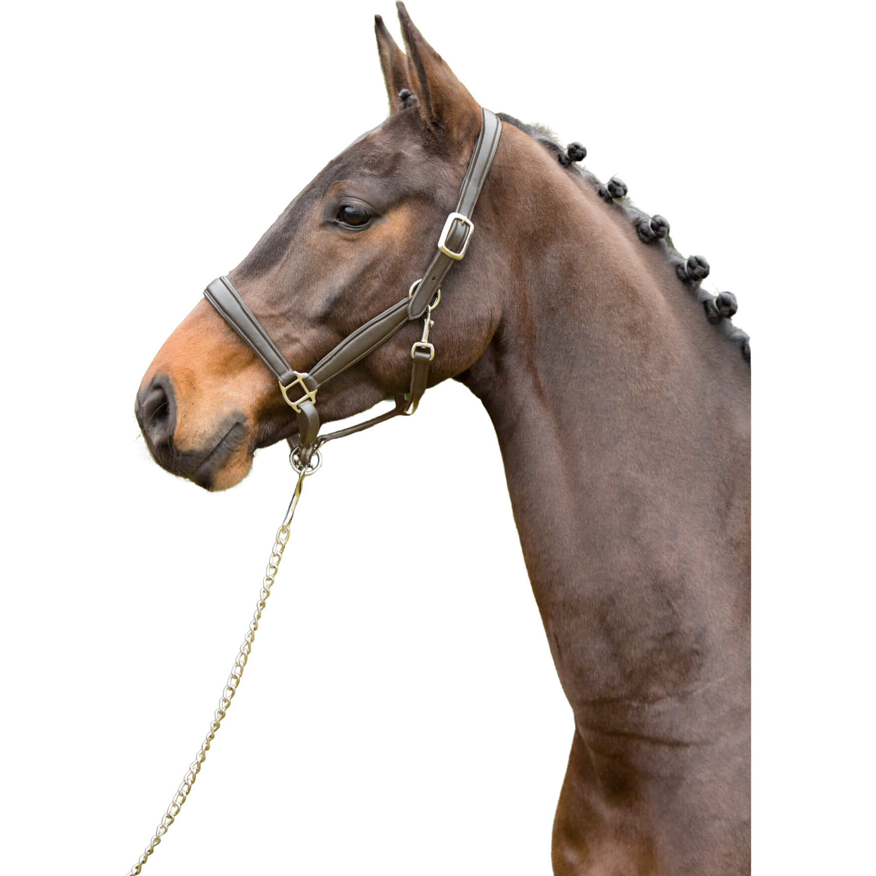 Kieffer Halfter Ultrasoft, Lederhalfter