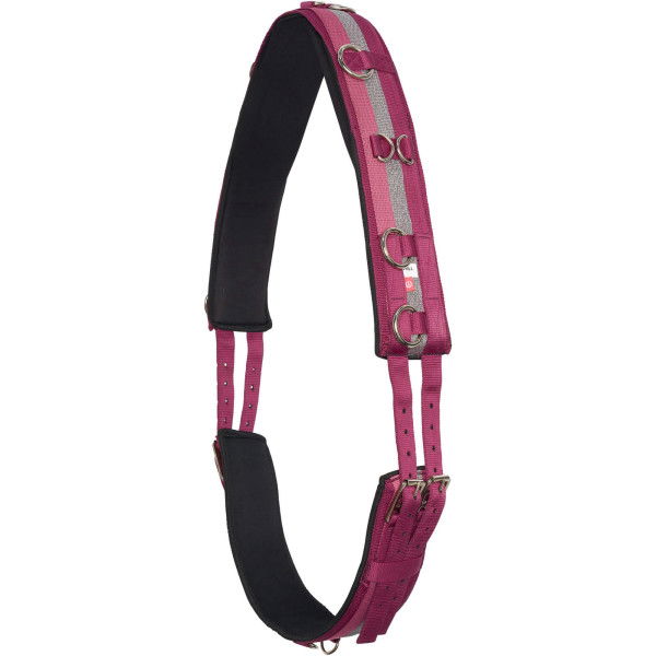 Imperial Riding Lunging Girth Nylon Deluxe