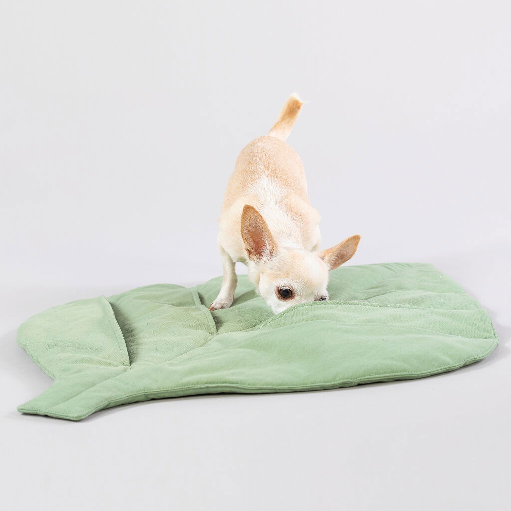 Paikka Leaf // Dog playmat with pockets for treats (green) %