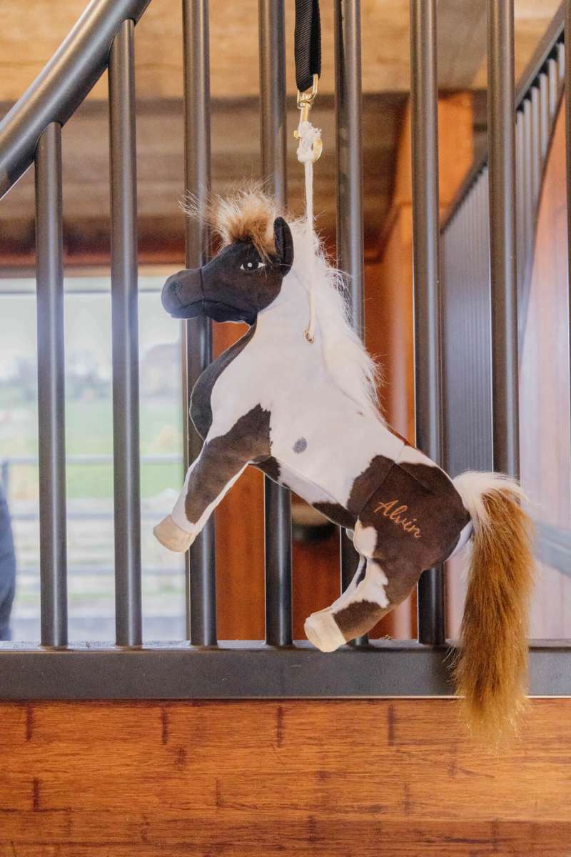 Kentucky Horsewear Relax Horse Toy | FUNDIS Equestrian