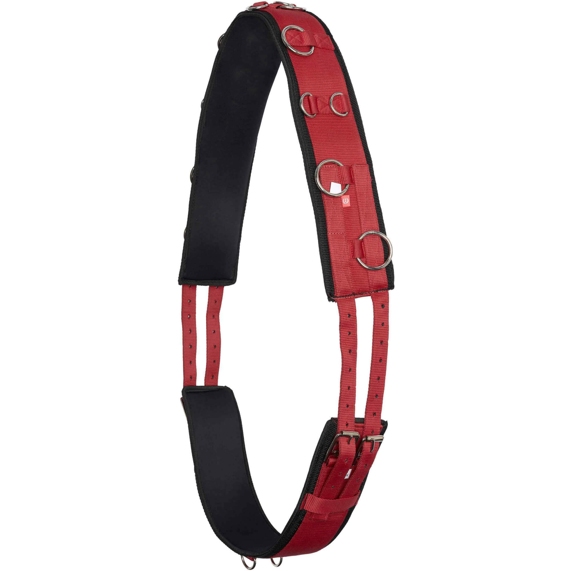 Imperial Riding Longiergurt IRHDeluxe, Nylon