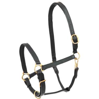 Star Halter Robust, Leather Halter