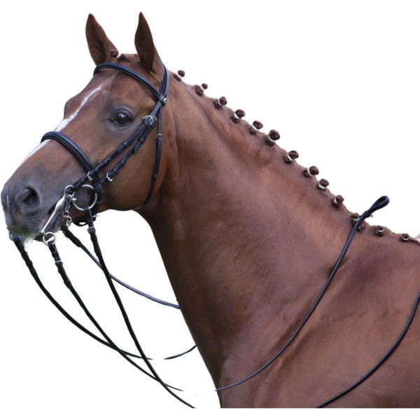 Kieffer Double Bridle Anja Beran, English Noseband, with Reins