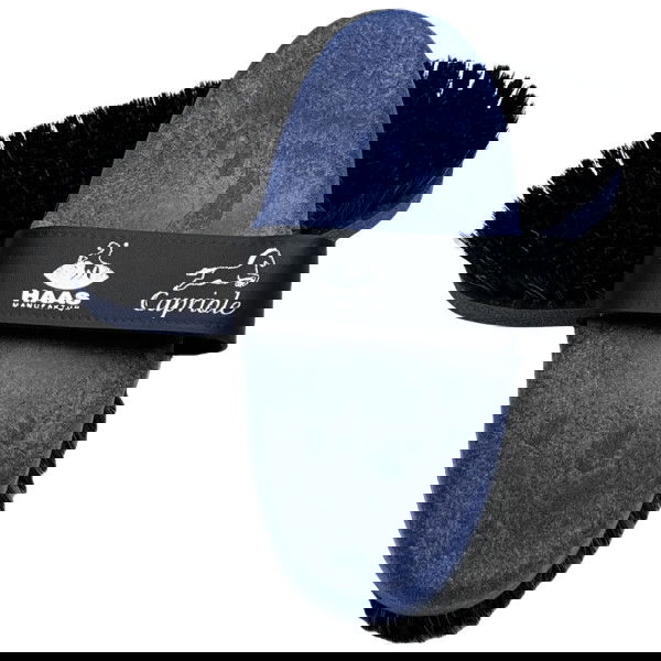 Haas Kardätsche Capriole