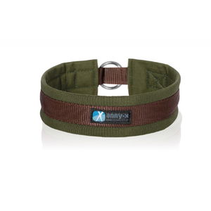 Annyx Hundehalsband Zug-Stopphalsband Fun & Protect Annyx Hundehalsband Zug-Stopphalsband Fun & Protect