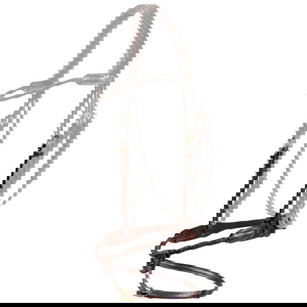 Dyon Wechselnasenriemen Braided Round DC, englisch kombiniert