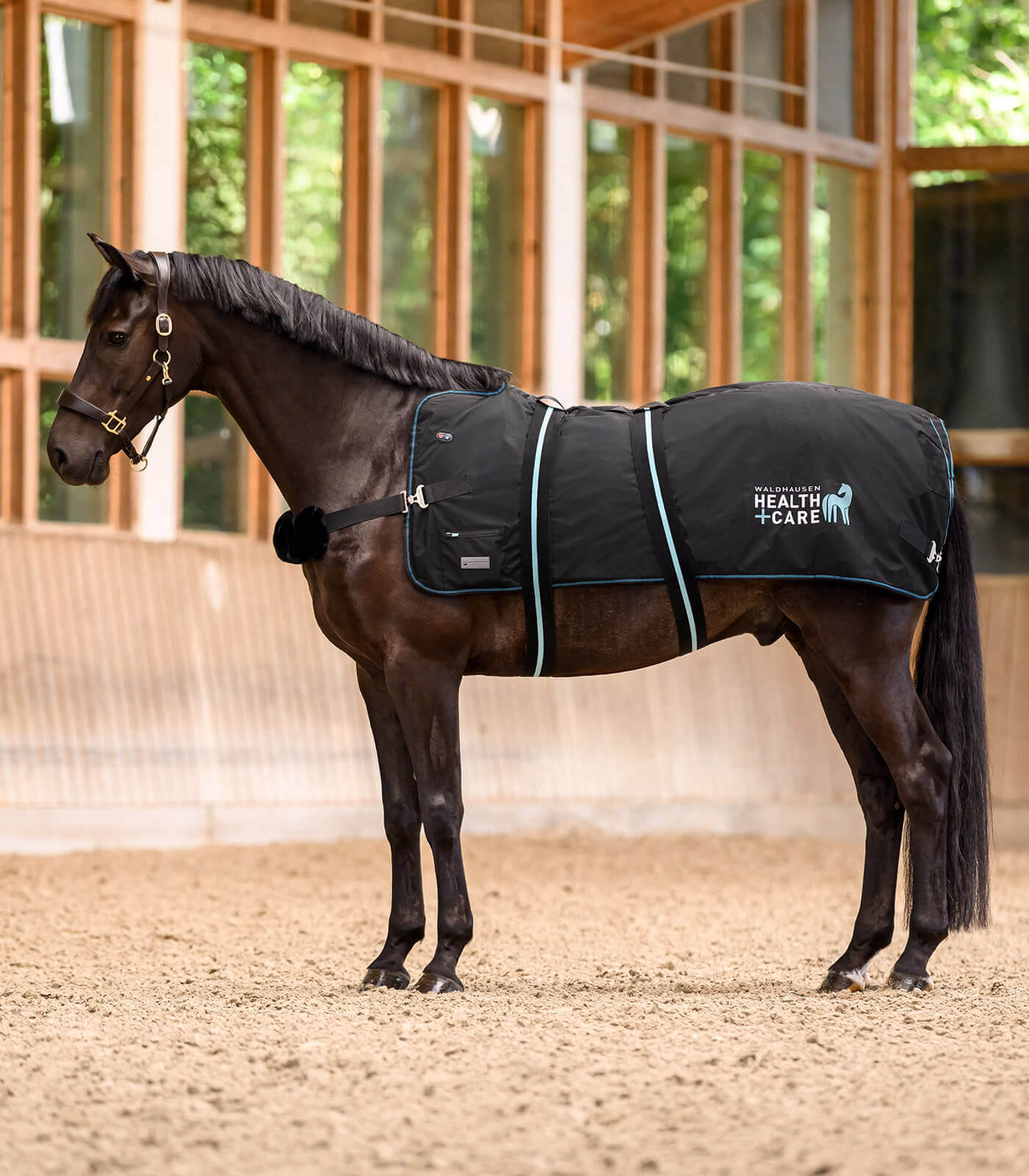 Therapy Rug Waldhausen Health + Care TecSupreme Therapy Rug | FUNDIS Equestrian
