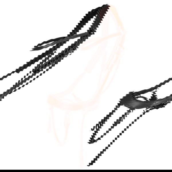 PresTeq Bridle FaySport Bitless, without Reins