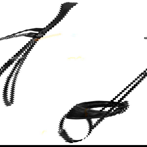 Passier Trense Favorite powered by Ingrid Klimke, schwedisch kombiniert, mit Zügeln