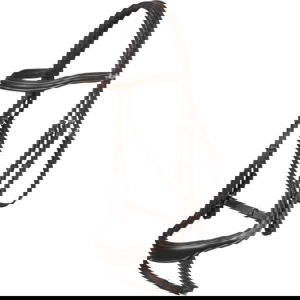 LeMieux Bridle Arika, Anatomical, without Reins