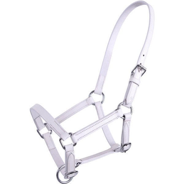 QHP Leather Foal Halter Chico
