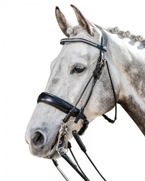 Prestige Italia Double Bridle E135, Swedish Noseband