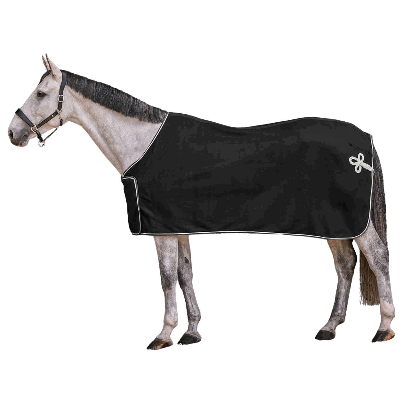 Waldhausen Abschwitzdecke Economic, Fleecedecke, Sponsorendecke