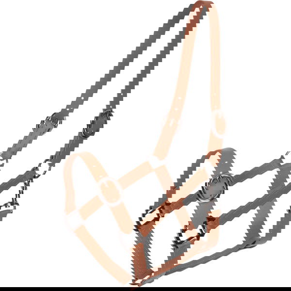 Imperial Riding Halter IRHSuper-proof Matte FW25, Coated Nylon Halter