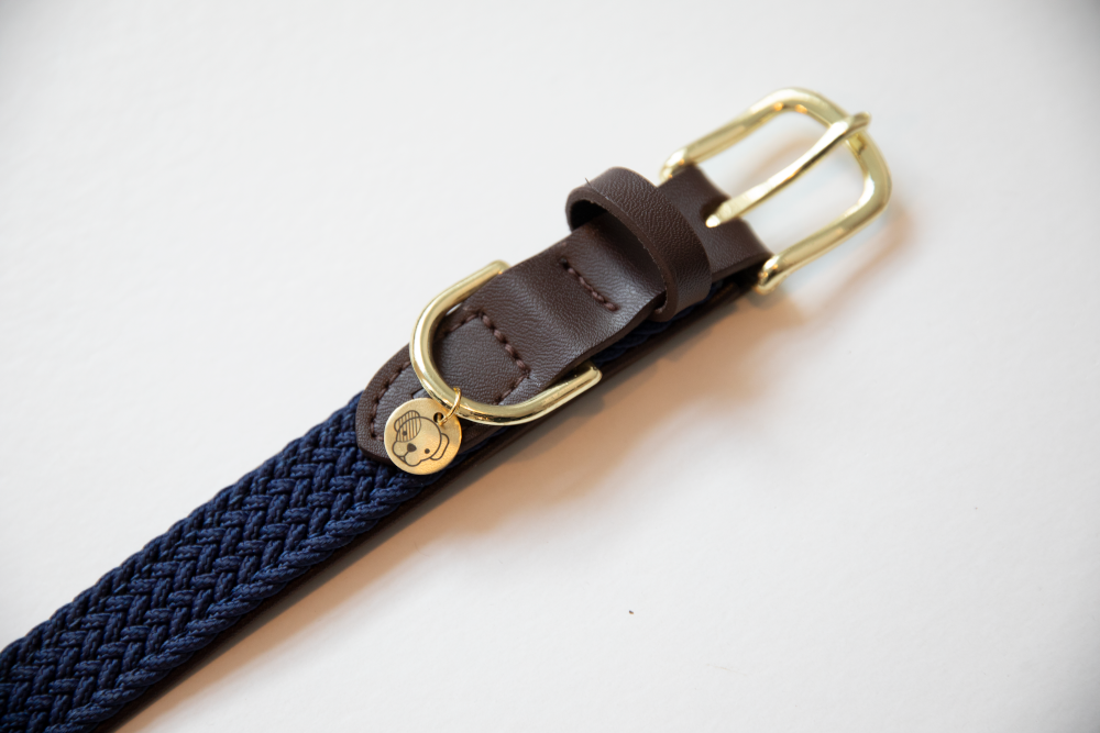 College-Hundehalsband – Offiziell Lizenziert, Größe S (15,2–35,6 Cm), Verstellbar Mit Team-Logo-Gravur – Für Kleine Hunde