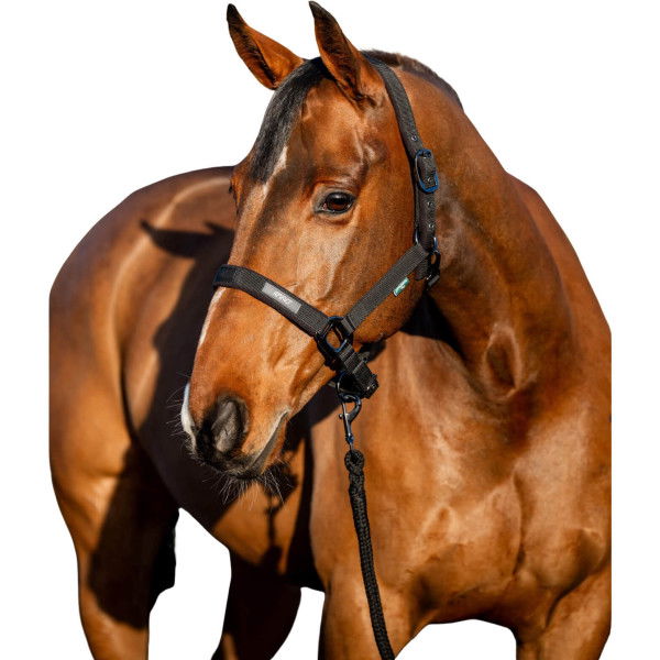 Horseware Halfter-Set Amigo, inkl. Strick