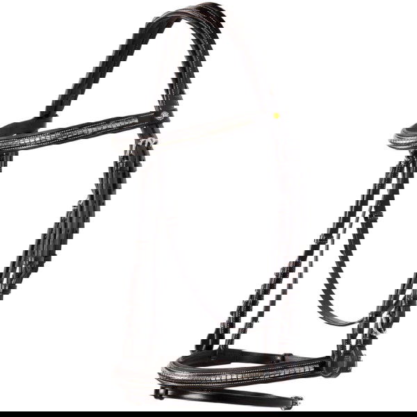 Equestro Bridle Clincher, English Combined, without Reins